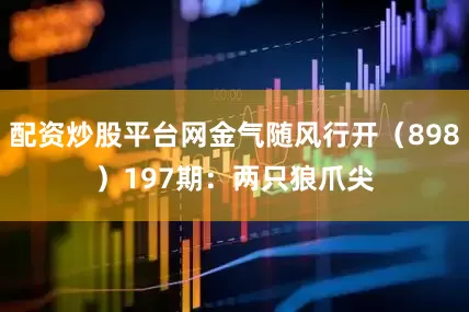 配资炒股平台网金气随风行开（898）　　197期：两只狼爪尖