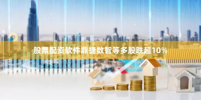 股票配资软件鼎捷数智等多股跌超10%