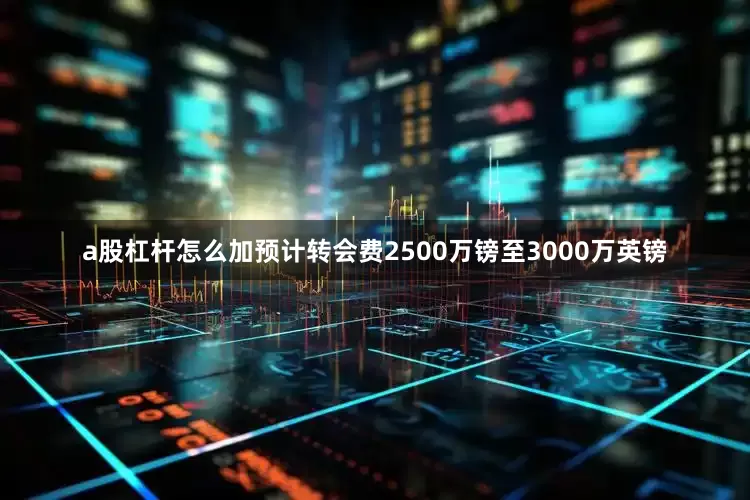 a股杠杆怎么加预计转会费2500万镑至3000万英镑