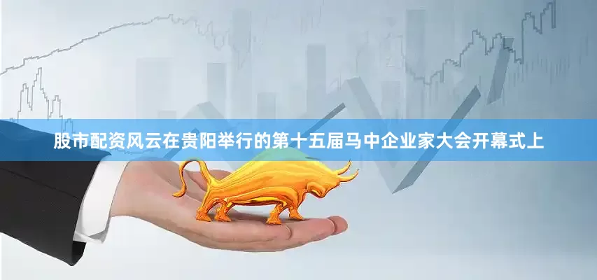 股市配资风云在贵阳举行的第十五届马中企业家大会开幕式上