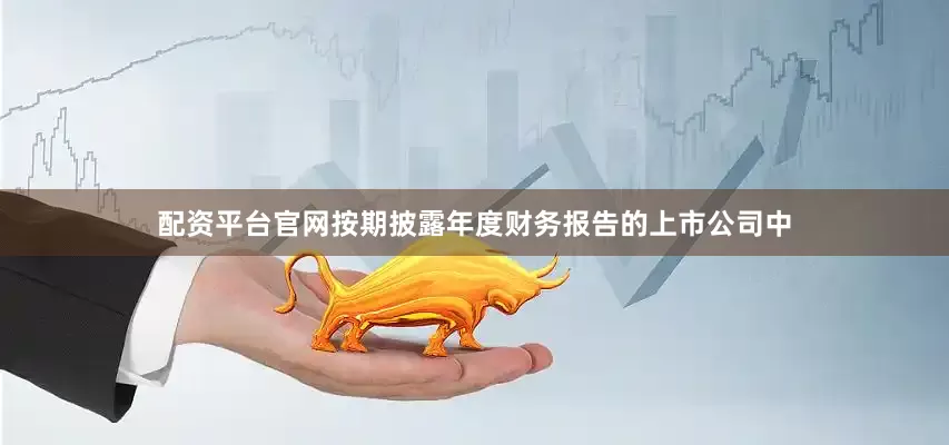 配资平台官网按期披露年度财务报告的上市公司中