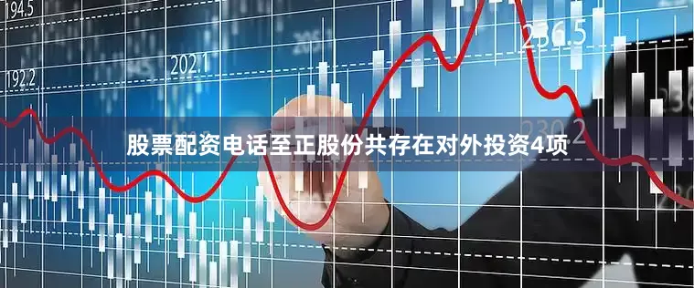股票配资电话至正股份共存在对外投资4项