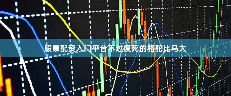 股票配资入门平台不过瘦死的骆驼比马大