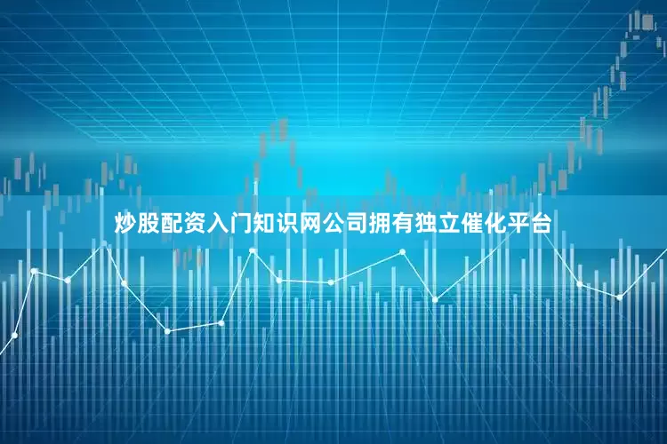 炒股配资入门知识网公司拥有独立催化平台