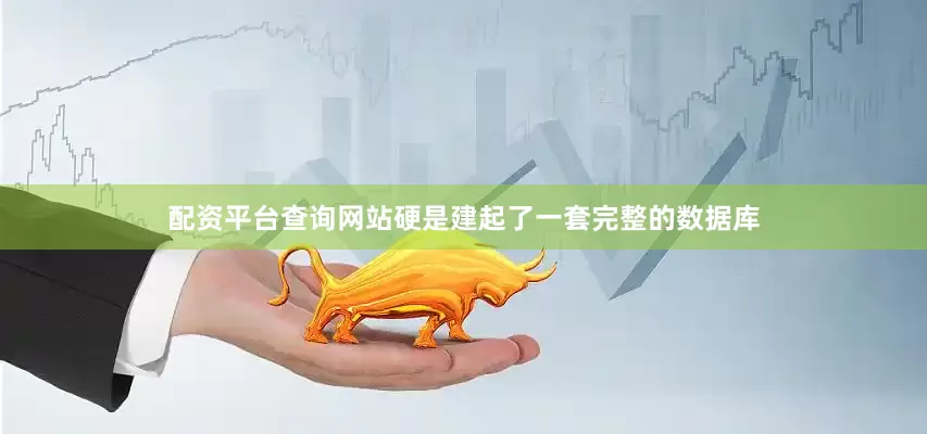 配资平台查询网站硬是建起了一套完整的数据库